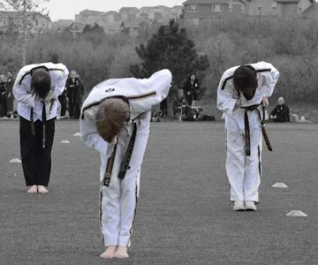 Han Lee's Taekwondo Academy