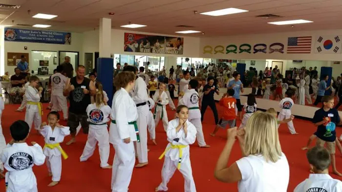 Tiger Lee's World Class Tae Kwon Do Picture 5