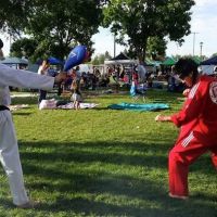 Tiger Lee's World Class Tae Kwon Do ico