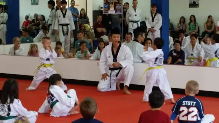 Tiger Lee's World Class Tae Kwon Do Picture 6