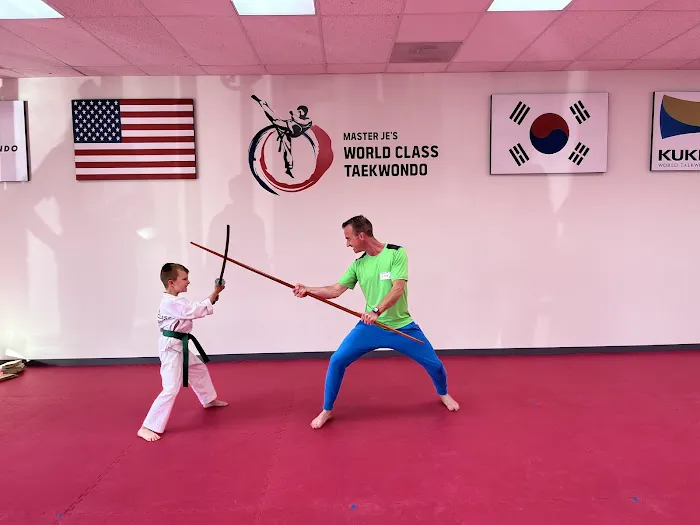 Master Je's World Class Tae Kwon Do Picture 1