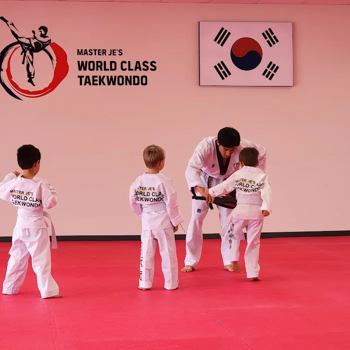 Master Je's World Class Tae Kwon Do Picture 6