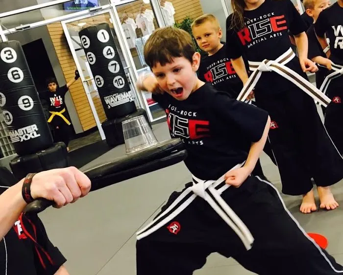 Tiger-Rock Martial Arts of Lone Tree Picture 2