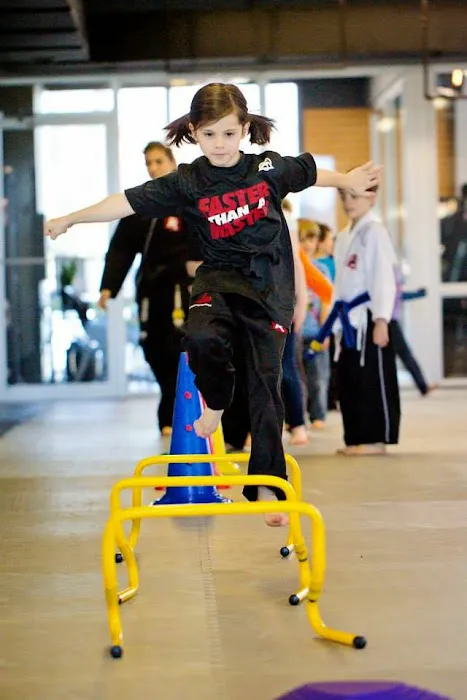 Tiger-Rock Martial Arts of Lone Tree Picture 3