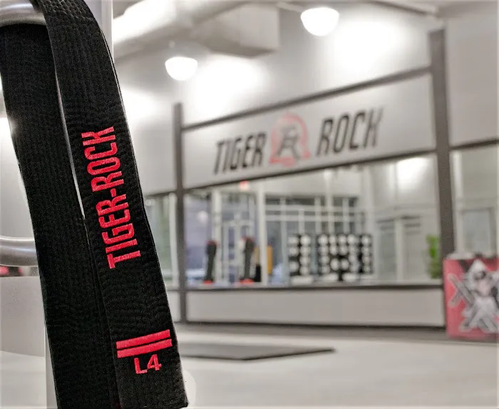 Tiger-Rock Martial Arts of Lone Tree Picture 9