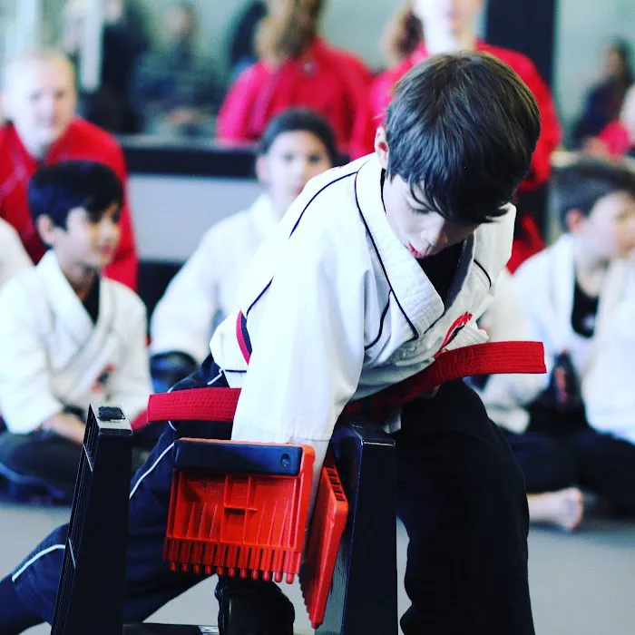 Tiger-Rock Martial Arts of Lone Tree Picture 6