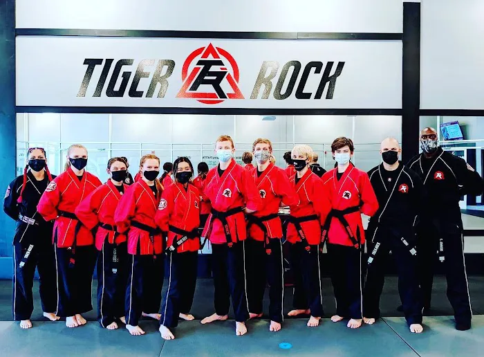 Tiger-Rock Martial Arts of Lone Tree Picture 8