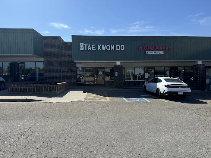 Master Kim's Korean Tiger Martial Arts Picture 9