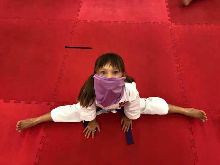 Golden Taekwondo Family Center Picture 1