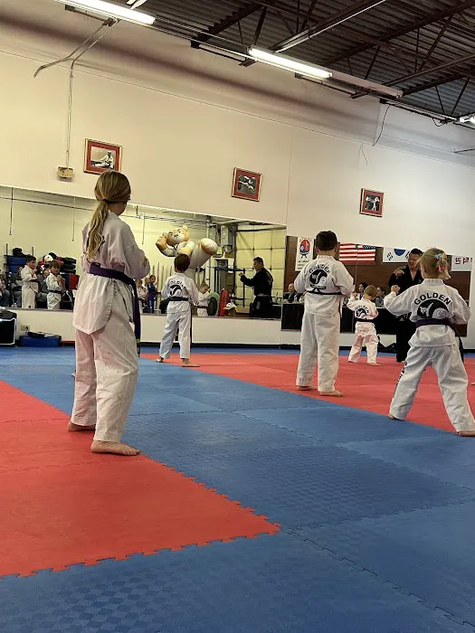 Golden Taekwondo Family Center Picture 8