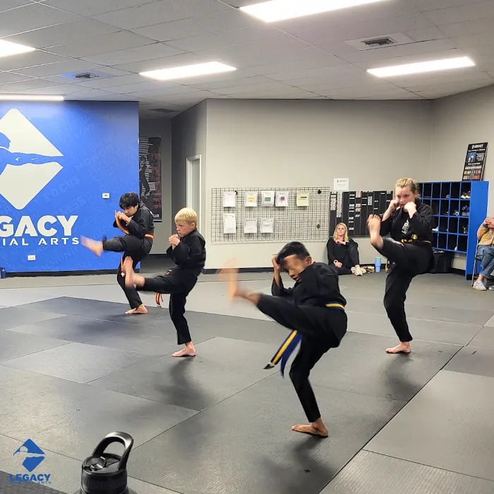 Legacy Martial Arts Picture 10