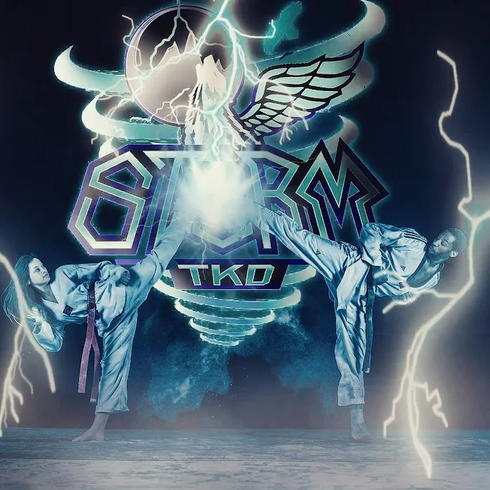 Storm Martial Arts Academy Picture 1