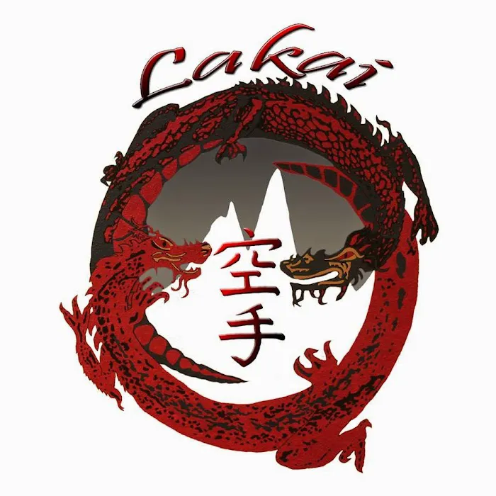 Storm Martial Arts Academy Picture 2