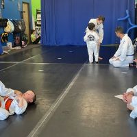 Otomi Martial Arts ico