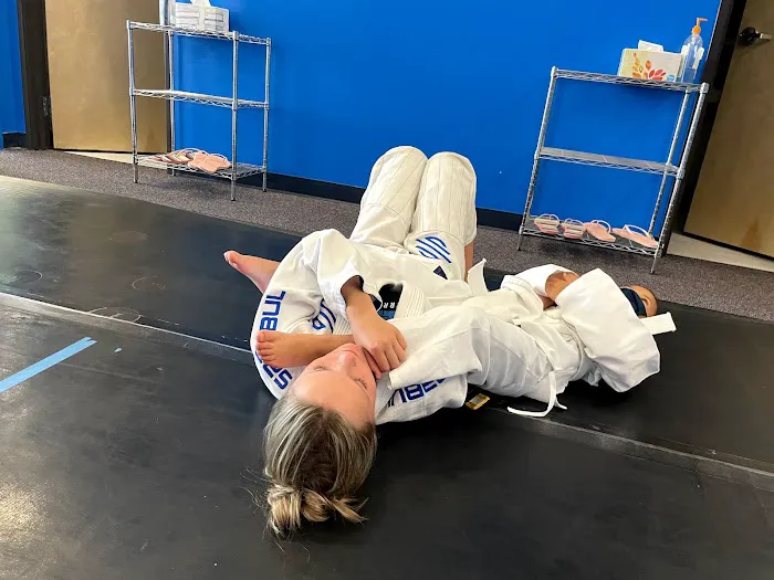 Otomi Martial Arts Picture 4