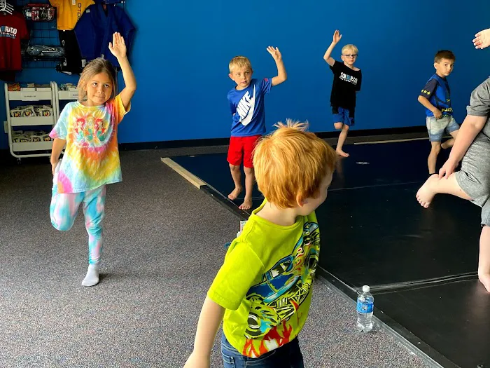 Otomi Martial Arts Picture 8