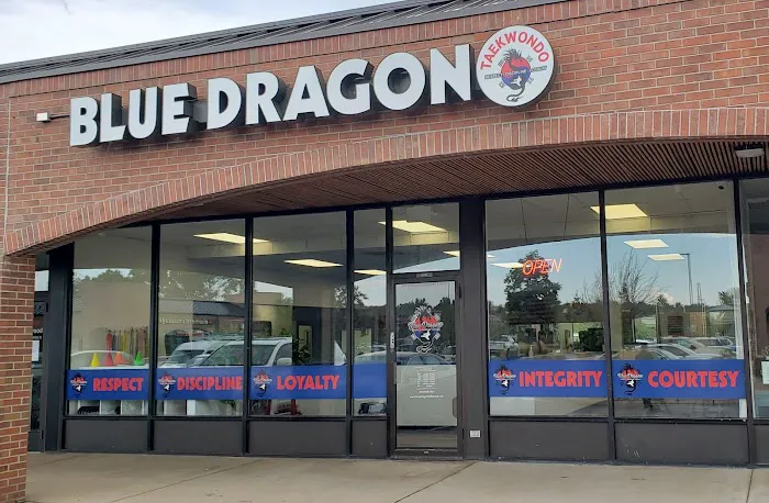 Blue Dragon Tae Kwon Do School Picture 5