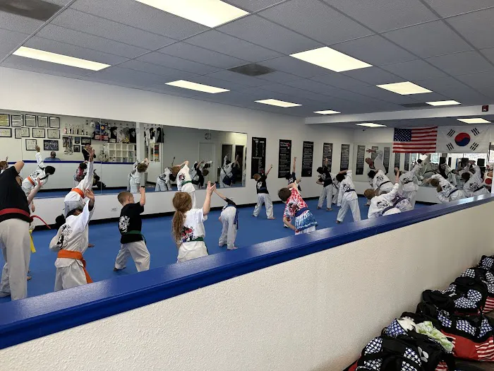 Blue Dragon Tae Kwon Do School Picture 1