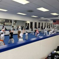 Blue Dragon Tae Kwon Do School ico