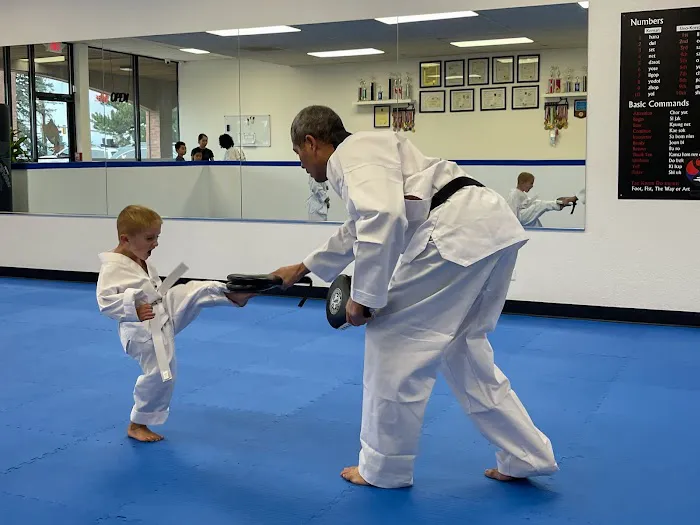 Blue Dragon Tae Kwon Do School Picture 3