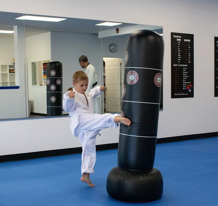 Blue Dragon Tae Kwon Do School Picture 9