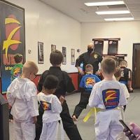 Z-Ultimate Self Defense Studios ico