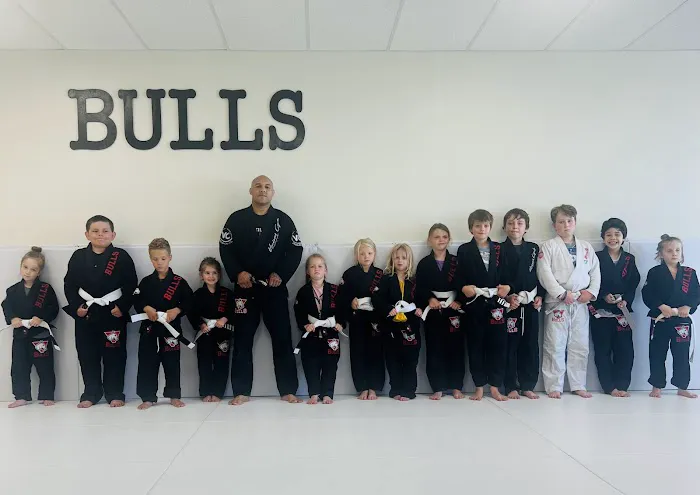 Bulls Jiu Jitsu Colorado Picture 8