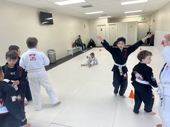 Bulls Jiu Jitsu Colorado Picture 6