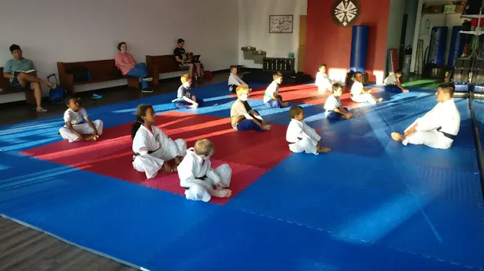 Colorado Martial Arts Academy Picture 4