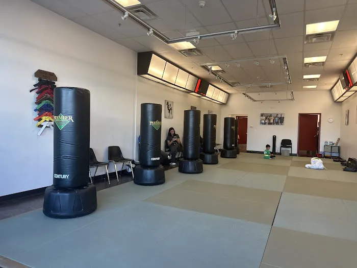 Premier Martial Arts Picture 3