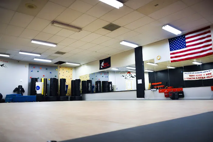 Kicks Martial Arts Picture 2