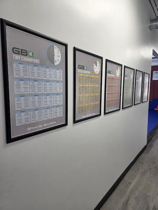 Gracie Barra Saddle Rock Jiu-Jitsu Picture 8