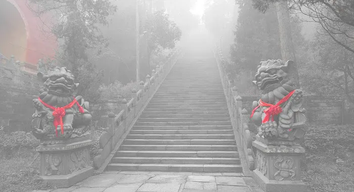 Denver Shaolin Kung Fu Tai Chi Institute Picture 8