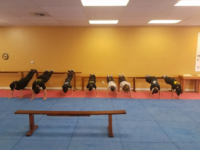 Denver Shaolin Kung Fu Tai Chi Institute Picture 6