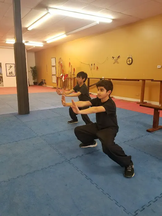 Denver Shaolin Kung Fu Tai Chi Institute Picture 5
