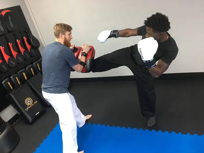 Modern Dojo Picture 1