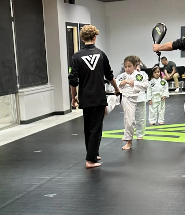 Venture Martial Arts Picture 1