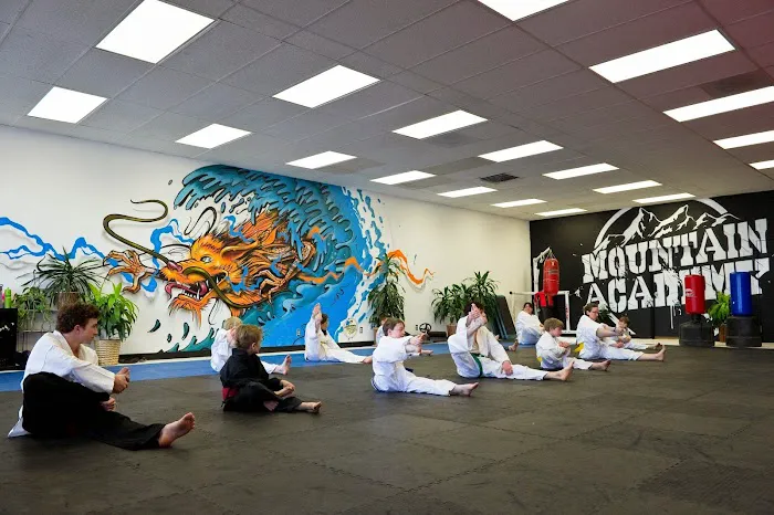 Mountain Academy Martial Arts LLC Picture 10
