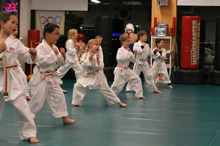 Littleton Taekwondo Picture 5