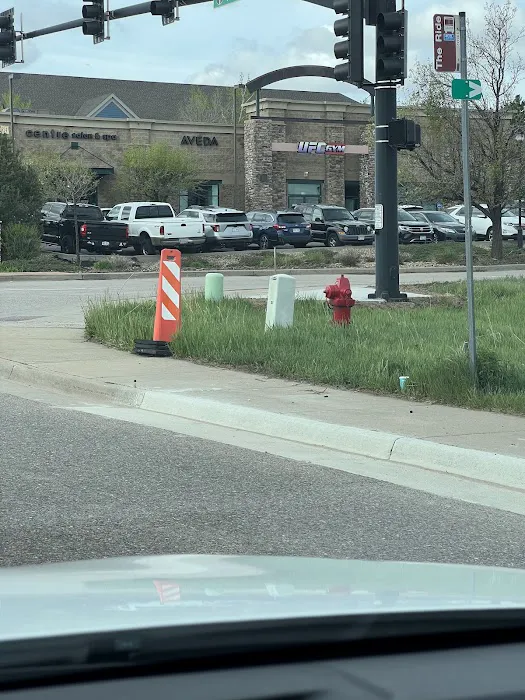 UFC GYM Lone Tree Picture 3