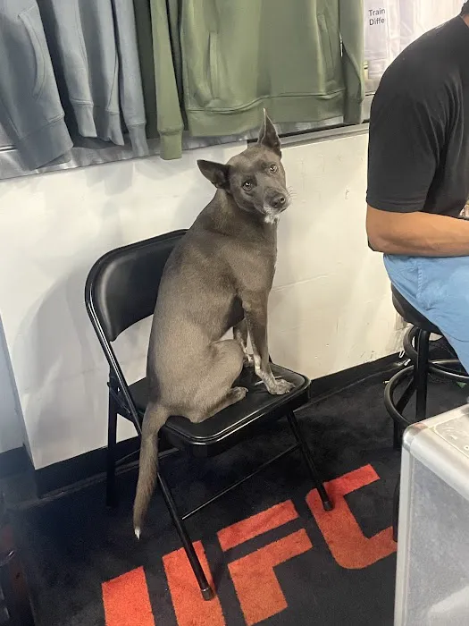 UFC GYM Lone Tree Picture 6