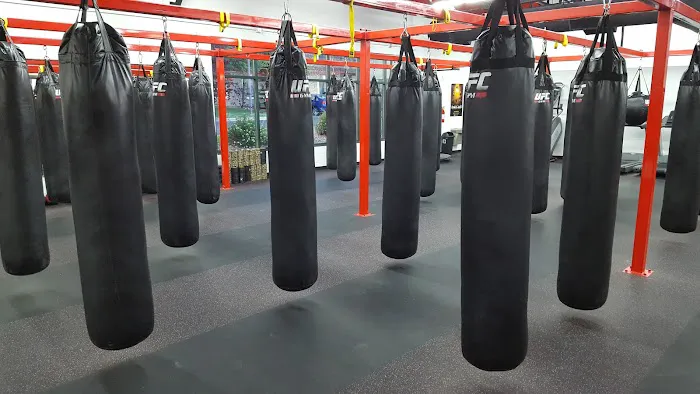 UFC GYM Lone Tree Picture 4