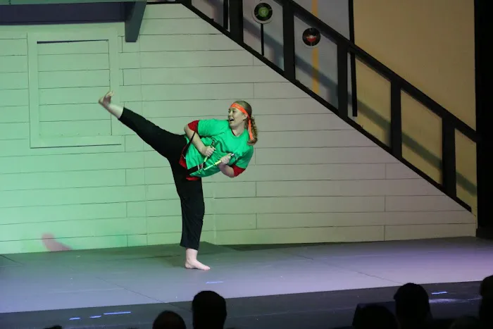 Excel Taekwondo Littleton Picture 6