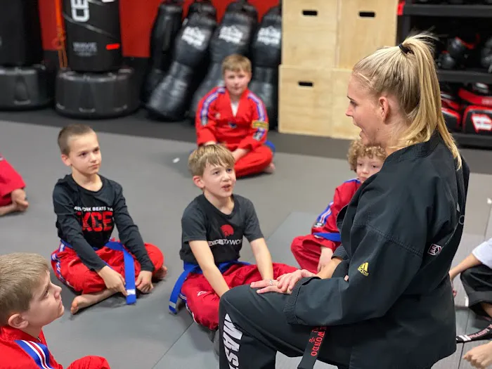 Excel Taekwondo Littleton Picture 5