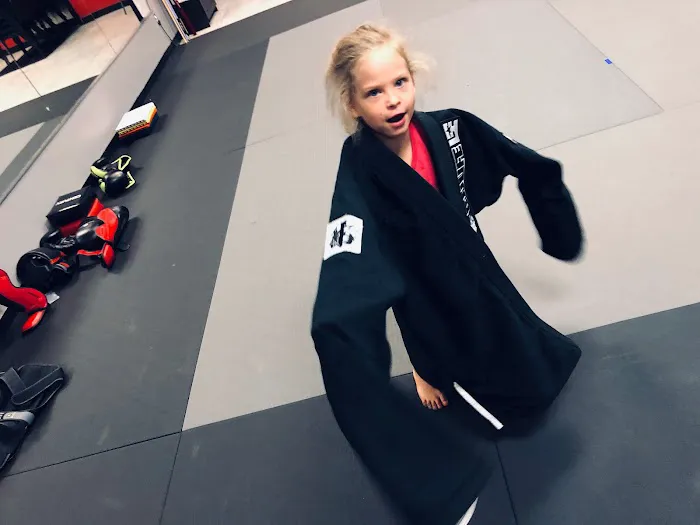 Excel Taekwondo Littleton Picture 8