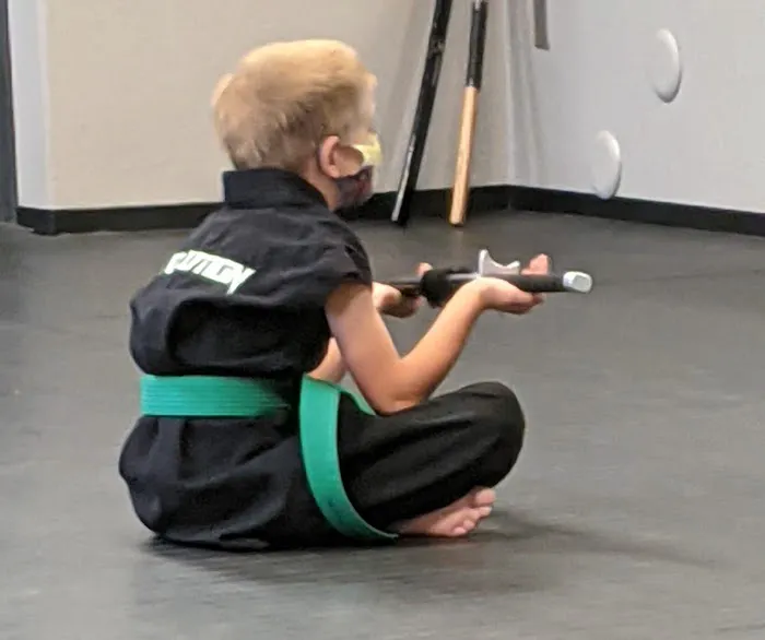 Revolution Martial Arts Picture 3