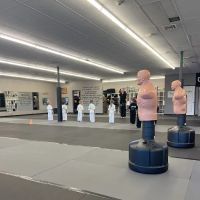 Revolution Martial Arts ico