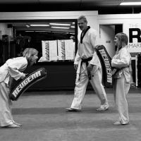 The Rock Martial Arts & Fitness ico