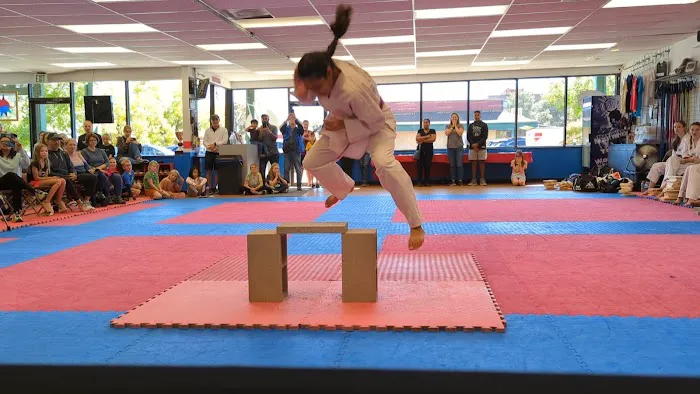 The Rock Martial Arts & Fitness Picture 10