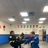 Martial Science Academy ico